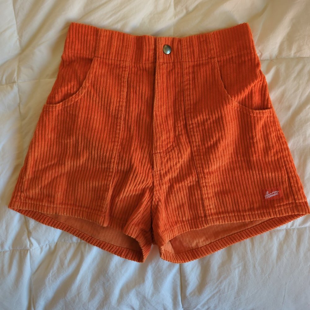 Hammies in Orange